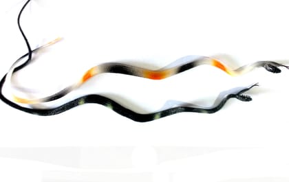 nawani rubber snake,realistic snake toy size - 50 cm 2pic combo- Multi color