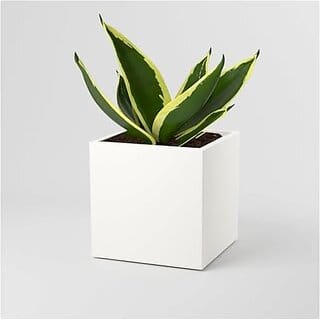 De Gardenia FOXB Cubo Cube Pots for Plants Highly Durable Lightweight Indoor/Outdoor Flower Pot Gamla Tree Planter for Balcony Garden Office (White 10 Inch)