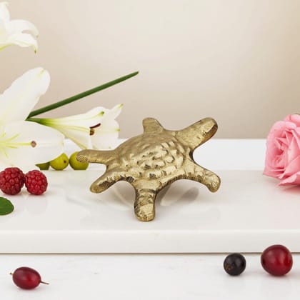 Brass Showpiece Tortoise, Turtle [Kachua] Small Statue, Length : 1.6 Inch (ZMAS184 B)