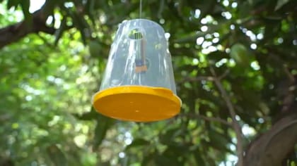 V-MAT Lure +Conatiner  For Vegetables  by Palvi industries