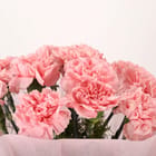 ... ...