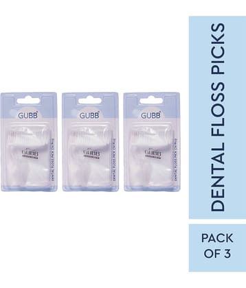 Gubb Dental Floss Pick With Handle Floss Pick 72 Pcs Pack of 3