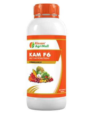 KAM F6 -1 Lt 