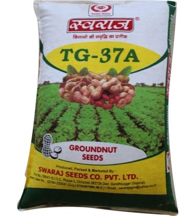 GROUNDNUT SWARAJ TG-37A
