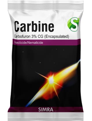 CARBINE | Pack of 3