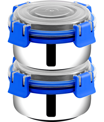 BOWLMAN Lock N Lock Stainless Steel Lunch Box 2 - Container ( Pack of 1 )