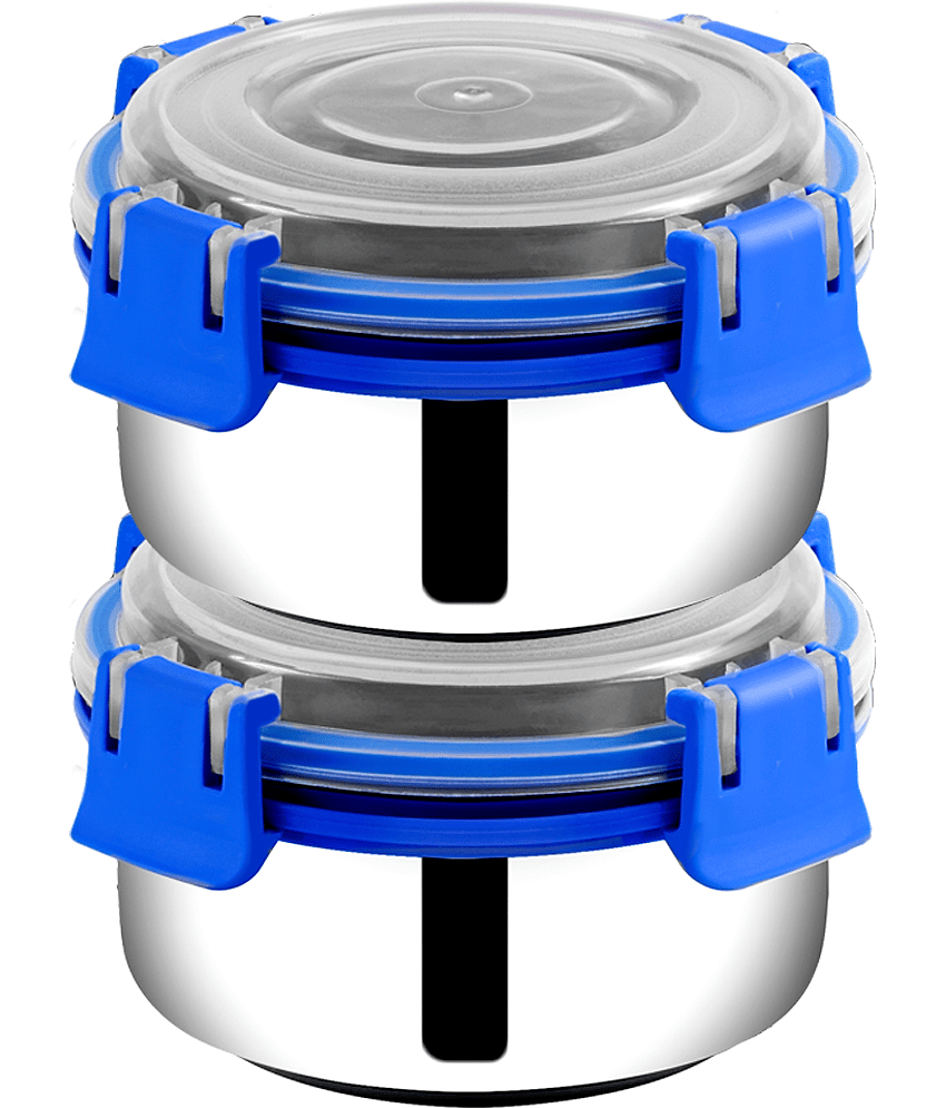 BOWLMAN Lock N Lock Stainless Steel Lunch Box 2 - Container ( Pack of 1 )
