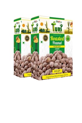 TURF FRESH - Premium Roasted Salted Jumbo Peanut  Khari Sing 500 G Pack of 2