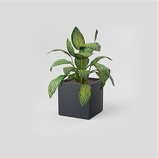 De Gardenia FOXB Cubo Cube Pots for Plants Highly Durable Lightweight Indoor/Outdoor Flower Pot Gamla Tree Planter for Balcony Garden Office (Grey 10 Inch)