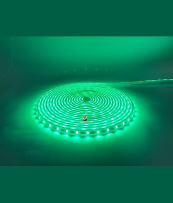 ZESTRUM Green 10 Mtr LED Strip ( Pack of 1 )