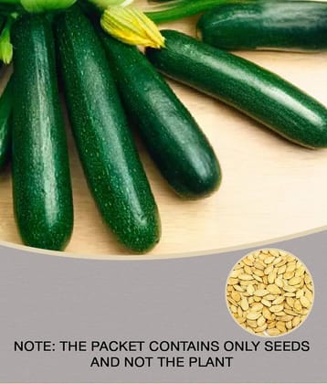 F1 HYBRID Long Squash PUMPKIN 10 Seeds WITH MANAUL