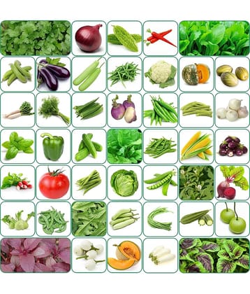 Aero Seeds 45 variety vegetable seeds combo pack with instruction manual.