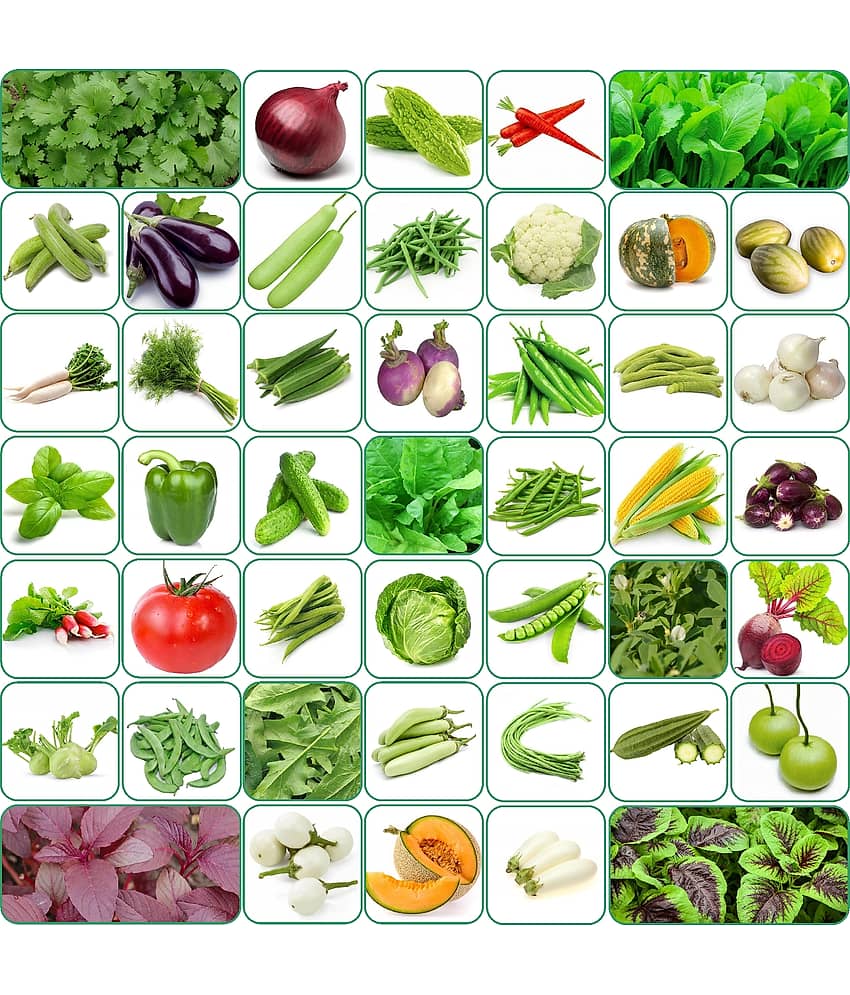 Aero Seeds 45 variety vegetable seeds combo pack with instruction manual.