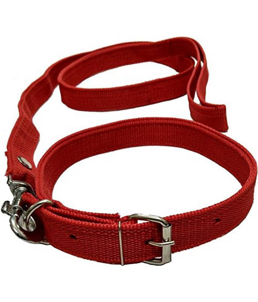 Smart Doggie - Black Dog Collar (Small)