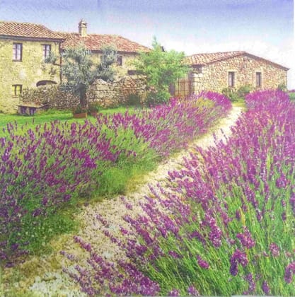 Decoupage Napkin / Tissue papers - GT1976