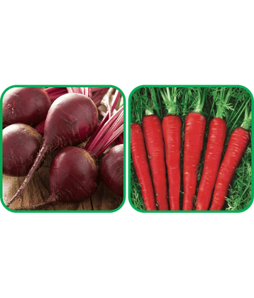 Aero Seeds Red Carrot ( 200 Seeds) And Beetroot ( 100 Seeds) Vegetable Seeds Pack