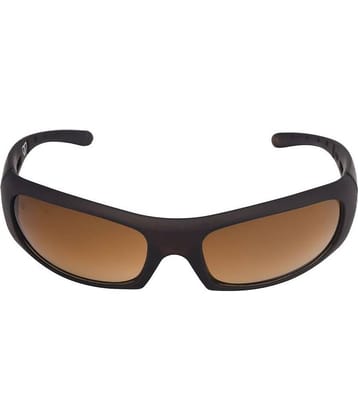 Walrus - Brown Square Sunglasses ( WS-BDN-090909 )