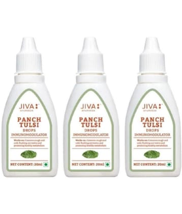 Jiva Punch Tulsi Drop For Immunity 200 ml each (Pack of 3)
