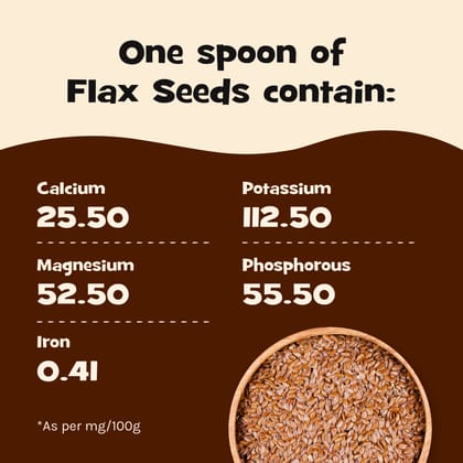 nourish you Raw Flax Seeds