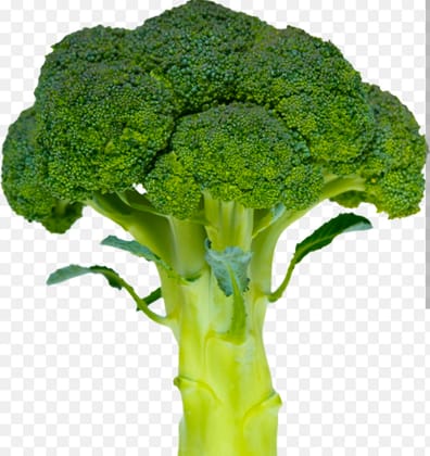 Broccoli