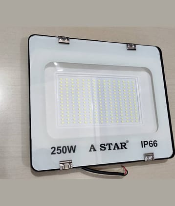 SPARKWORLD Cool Day Light 250 Watts Flood Light ( Pack of 2 )