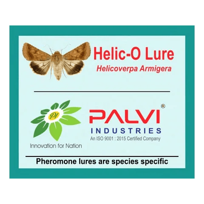 Helicoverpa armigera  by Palvi industries