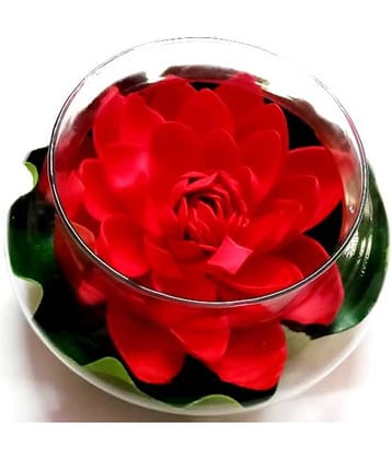 Green plant indoor Lotus Red Flowers With Pot - Pack of 1