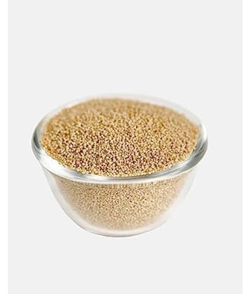 MYGODGIFT Poppy Seed Gold / Khus Khus/White Poppy Seeds / Poppy Seeds for Eating 50 gm