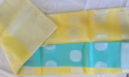 SAREE Timeless Indian Elegance