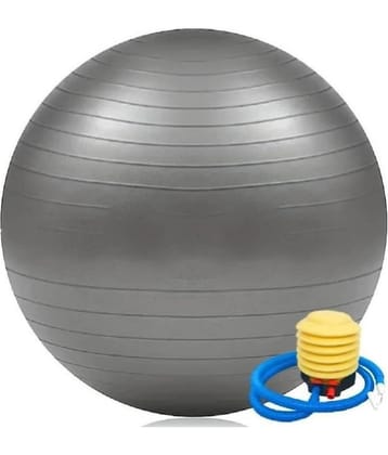 Gym Ball, Anti-Burst Rubber Gym Ball with Free Foot Pump, Round Shape Swiss Ball for Exercise, Workout, Yoga, Birthing, Balance & Stability, 65 cm, Pack of 1 (Grey)
