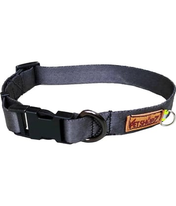 Petshop7 - Dark Grey Collar ( Medium )