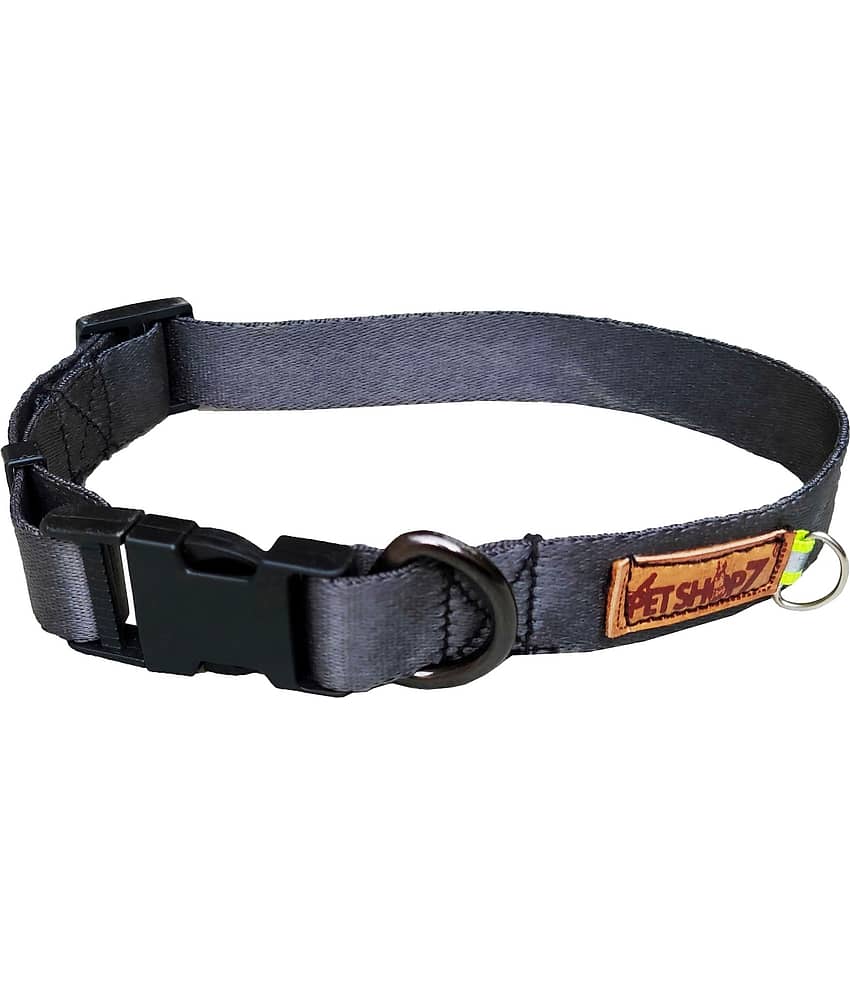 Petshop7 - Dark Grey Collar ( Medium )