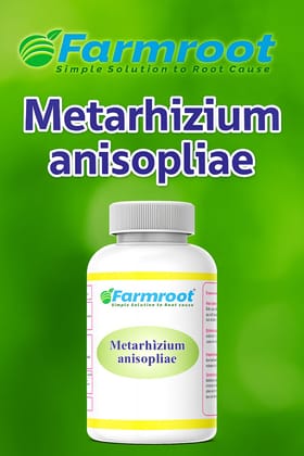 FARM METARHIZIUM  -1Ltr