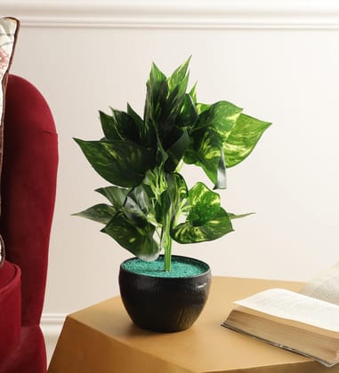 Foliyaj Real Look Artificial Money Plant with Pot|Bonsai Tree|Artificial Flower|with Pot|Home Decor for Living Room Home Office Shop|House|Gift|Decoration