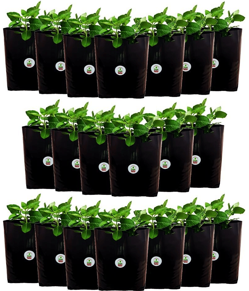 Grow bag for home gardening High Quality 150 Micron/600 Gauge | Pack of 20 Bags; Size: 30 x 16 x 16 cm