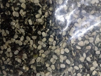 Urad dal loose 