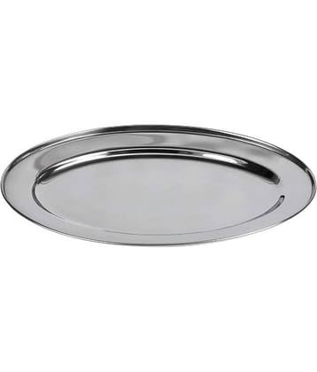 Dynore 1 Pcs Stainless Steel Silver Tray