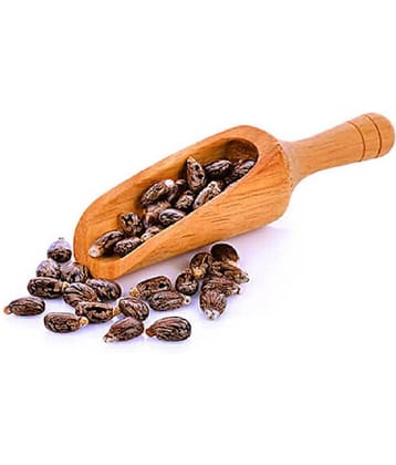 MYGODGIFT Natural and Organic Herbs Castor Oil Seeds 200 gm