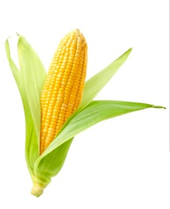 Corn