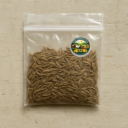 Kusum Provision Store's cumin seeds