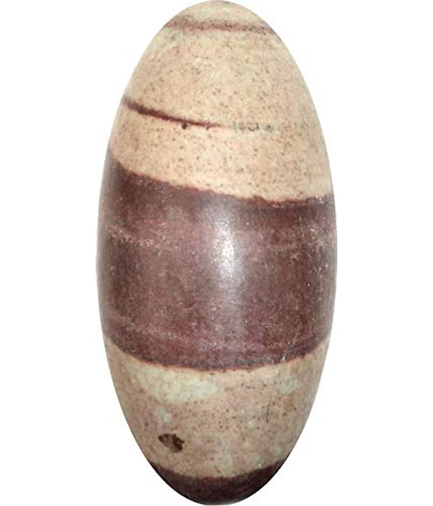 rudradivine Shiva Other Idol