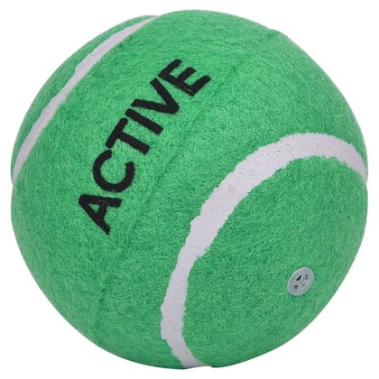 Active Squeak Tennis Ball 3inch Orange PK2