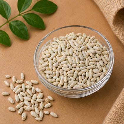 White Saunf Fennel Seeds (250g) | Pure & Aromatic Digestive Spice | Everyday Cooking & Mouth Freshener White Saunf Fennel Seeds (250g) | Pure & Aromatic Digestive Spice | Everyday Cooking & Mouth Freshener