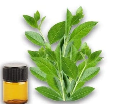 Henna Leaf Hydrosol Extract 100 G