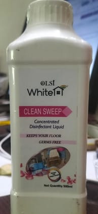 CLEAN SWEEP Disinfectant Liquid