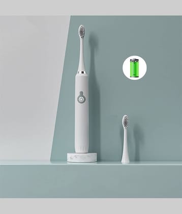 VillWin Electric Toothbrush