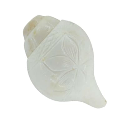 MAYAPURI Blowing Shankh/Puja Shankha or White Conch Shell (Big Size)