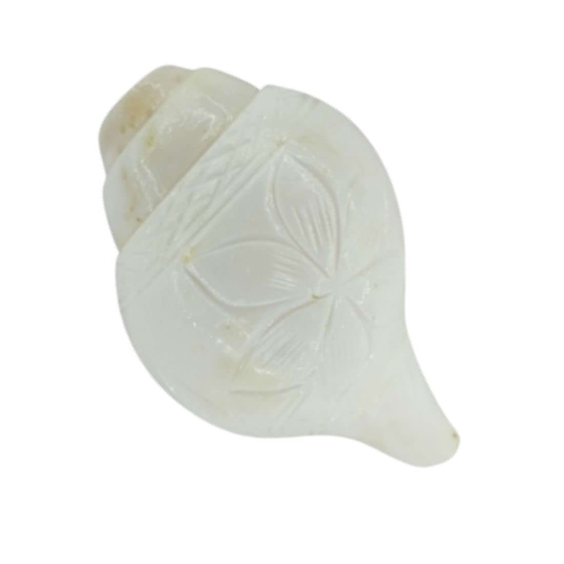 MAYAPURI Blowing Shankh/Puja Shankha or White Conch Shell (Big Size)