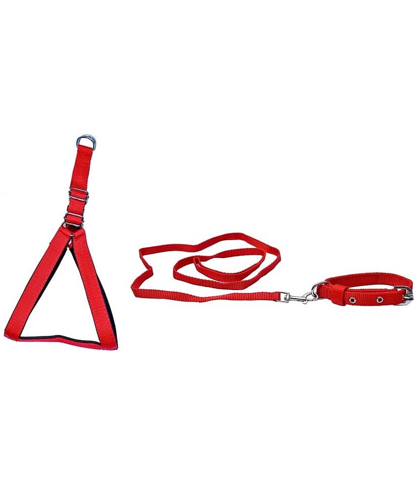 Tame Love Combo Dog Harness Leash Collar for small pet (Blue Color-0.75 Inch)