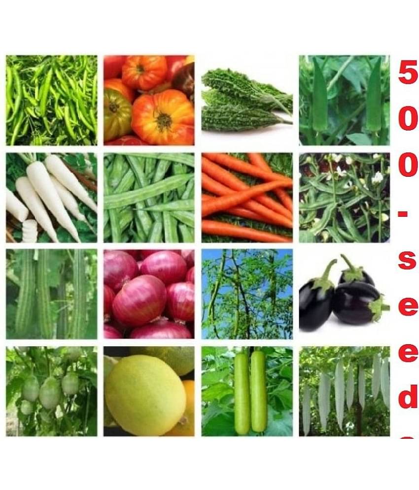 combo of 16 vegetable chili okra onion bitter gourd shem tomato 500+ seeds